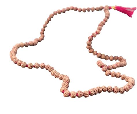 SIMA Jewels 7 Mukhi Rudraksha Mala from Nepal Beads Superb Natural ...