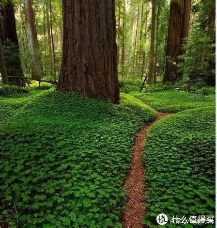 环境 的图像结果