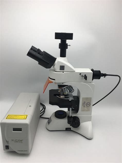 生物荧光显微镜, 广州科适特科学仪器有限公司/Koster,性能参数，报价/价格，图片_生物器材网