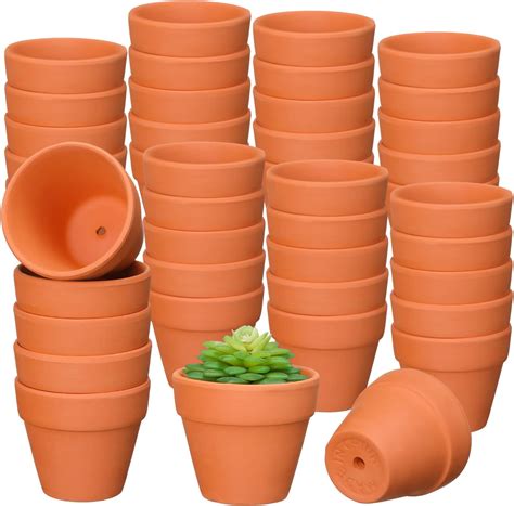 Amazon.com: 32 Pcs Mini Clay Pots Small Terracotta Pots 2.76 Inch Mini ...
