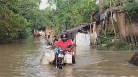 Rain fury in Odisha: Sluice gate breakage snaps road connectivity in ...