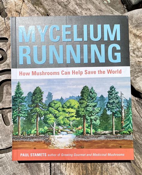 Mycelium Running Book by Paul Stamets – Worn Path