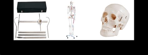 Galaxy Informatics - Top Rated Medical, Surgical, Educational and ...