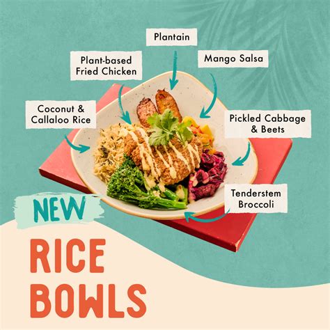 Brand New Rice Bowls - Turtle Bay UK