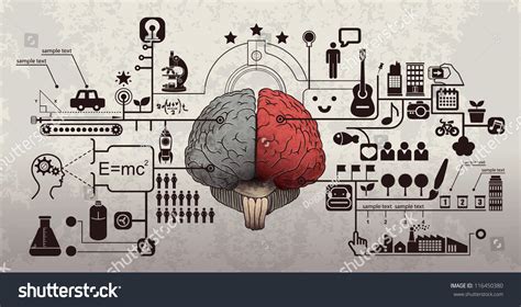 Right Brain Left Brain 的图像结果