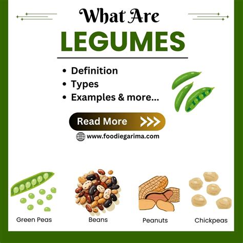 What are Legumes | Definition, Types and Examples - FOODIE GARIMA