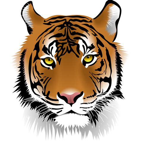 Tiger Clip Art