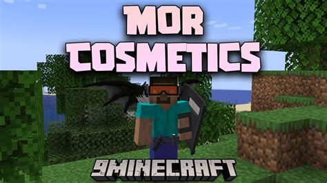 Image result for Cosmetics Mod 1.8.9
