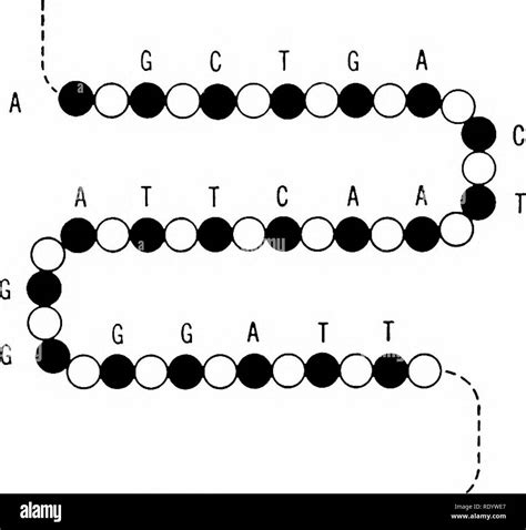 Labels KeyShot 的图像结果
