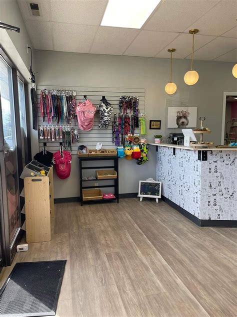 Dog Grooming Shop Interior Design Ideas