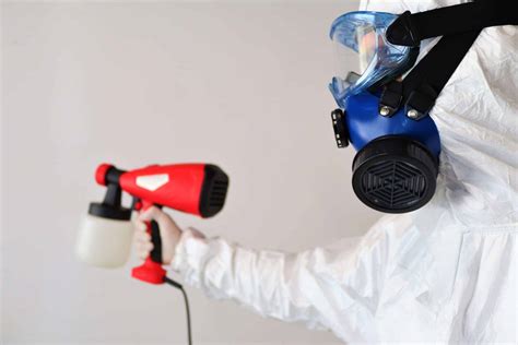Mold Removal Cost : Facts and Figures | Classic Restoration