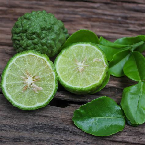 Kaffir Lime Tree | Kaffir Lime Plant For Sale | Citrus.com