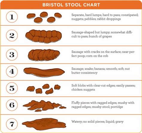 What Color Is C Diff Poop 的图像结果