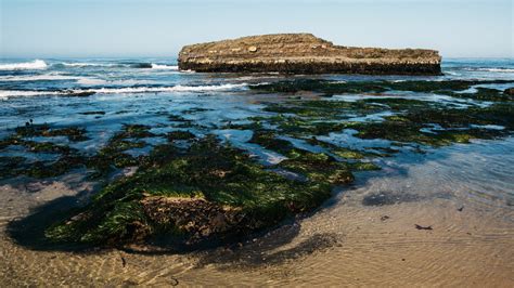 How to Enroll: International Student – Summer Session