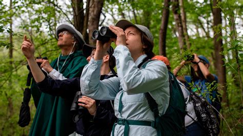 El Quetzal Birdwatching Tour from Guatemala City - Guatemala's National ...