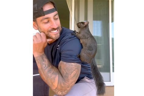 Peanut The Squirrel Owner Onlyfans Account