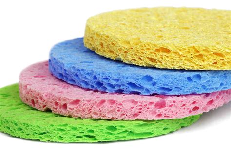 5 Types of Cleaning Sponges and Where They Work Best