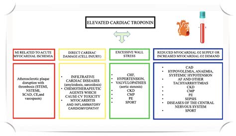The Role of Cardiac Troponin and Other Emerging Biomarkers Among ...