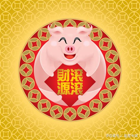 中国本土猪的种类有哪些？附中国十大土名猪品种介绍！ | 藏斋网