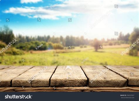 Spring Table 的图像结果