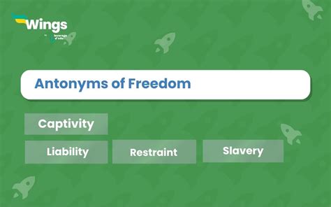 9+ Freedom Antonyms with Meaning and Examples | Leverage Edu