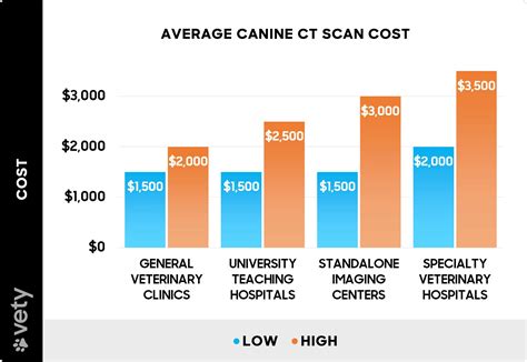 How Much Does a CT Scan Cost For a Dog? (2026)