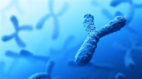 Ayurvedic Medicine For Y Chromosome at Crystal Blackwell blog