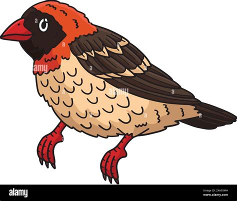 Sparrow bird clipart Cut Out Stock Images & Pictures - Alamy