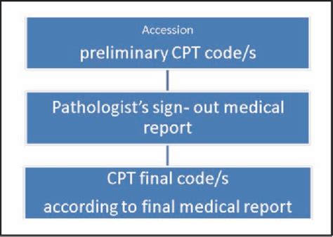 Image result for Learn Patholgy CPT Coding