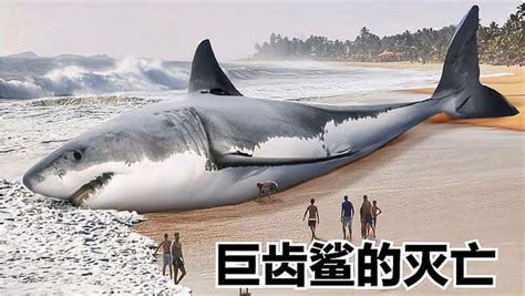 《巨齿鲨》后天上映，中国女演员又要在好莱坞大片里拯救地球了