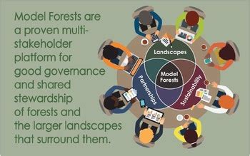 Forestry Model 4 的图像结果