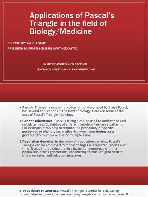 Pascal Triangle Applications 的图像结果