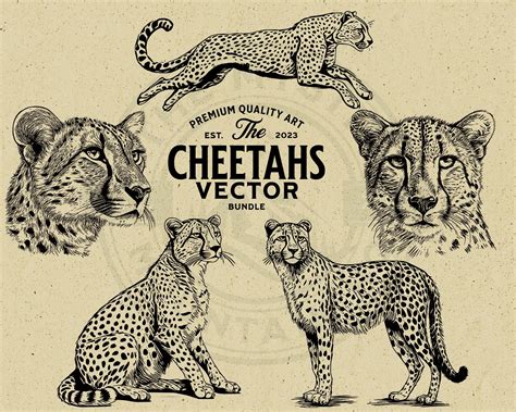 Cheetah Vector Illustration Bundle, Commercial License (SVG, PNG, EPS ...