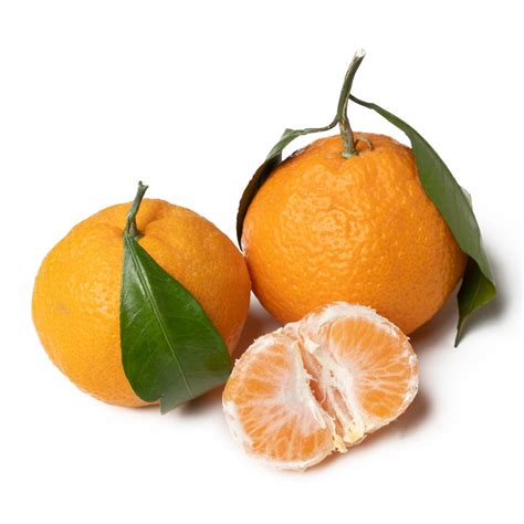 Satsuma Mandarin Season at Emma Spyer blog