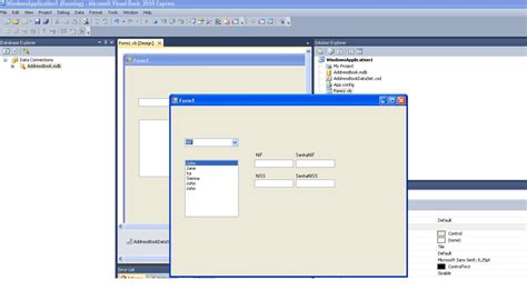 Vb.net Tutorial Data.oledb 的图像结果