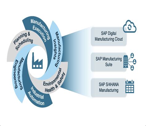 SAP Production Process 的图像结果