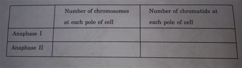 complete the table for a somatic cell with 14 chromatin in its nucleus ...
