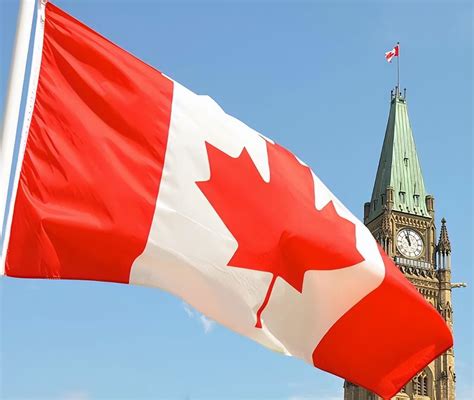 加拿大移民条件留学_加拿大移民的条件 - 随意云