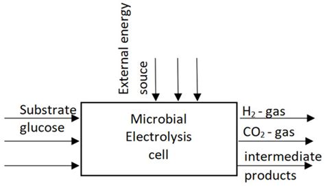 Microbial Electrolysis Cell Exergy Evaluation