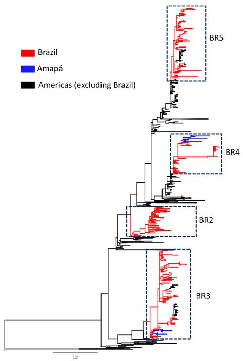 Adaptive Evolution of New Variants of Dengue Virus Serotype 1 Genotype ...