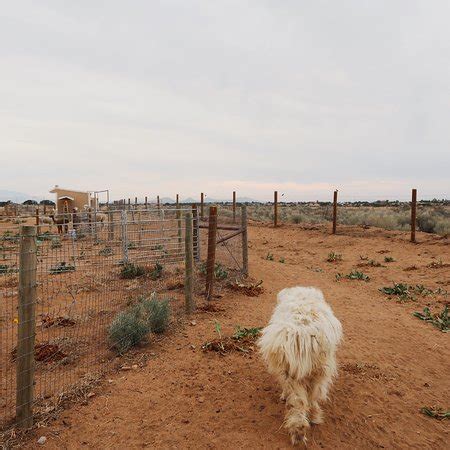WIDE SKY RANCH (2026) All You Need to Know BEFORE You Go (with Photos ...