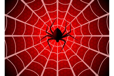 Spider web. Cobweb trap, gossamer halloween graphic silhouet (822684 ...