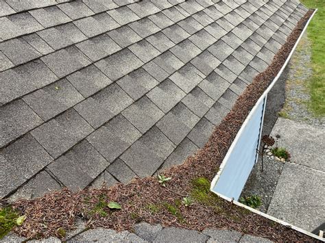 Image result for GutterStuff Review