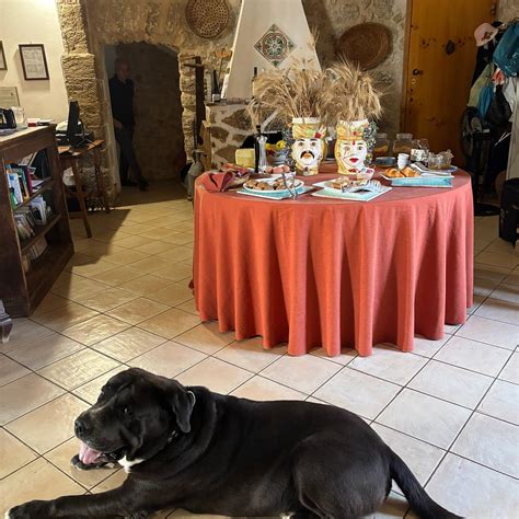AGRITURISMO FATTORIA MANOSTALLA (Balestrate, Sicily) - Farmhouse ...
