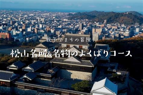 松山 城 に対する画像結果