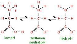 NEET Previous Year Questions (2014-2024): Biomolecules - Chemistry ...