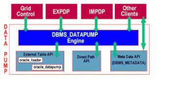 Image result for Oracle Impdp SQL Developer
