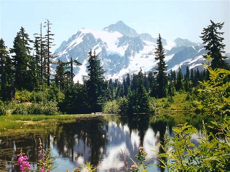 Digital Graphics Examples 的图像结果