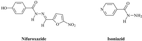 Biological Activities of Hydrazone Derivatives