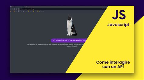 API JavaScript Tutorial 的图像结果
